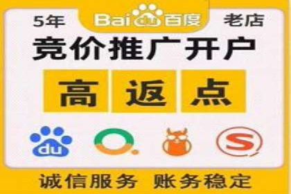 SEM代运营案例：品牌影响力提升
